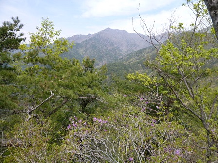 a0140305_1331031.jpg