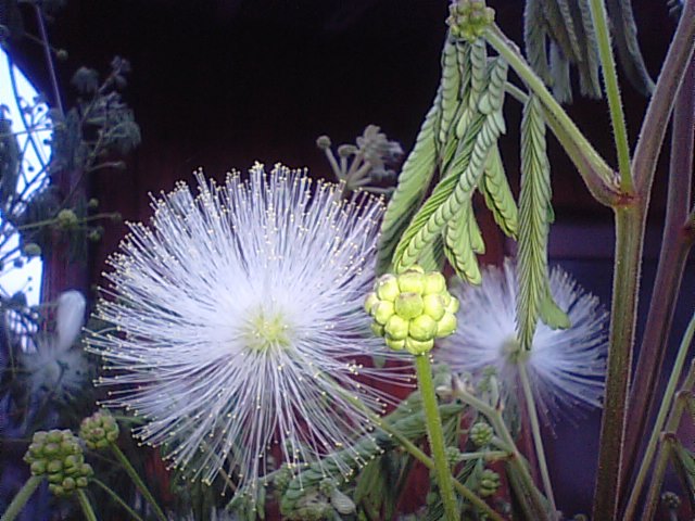 f0231709_2114067.jpg