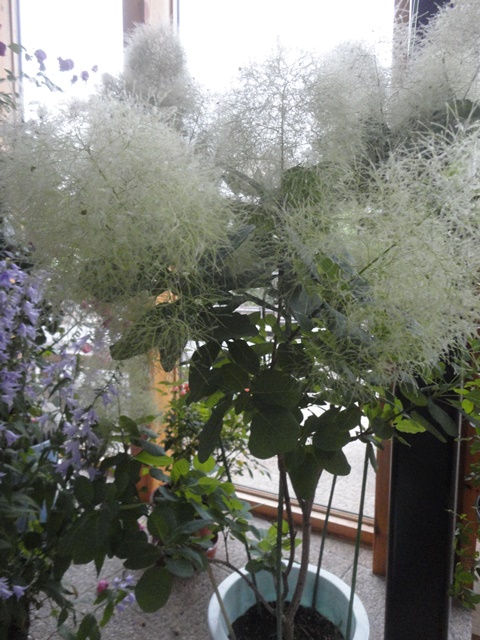 f0231709_22583845.jpg