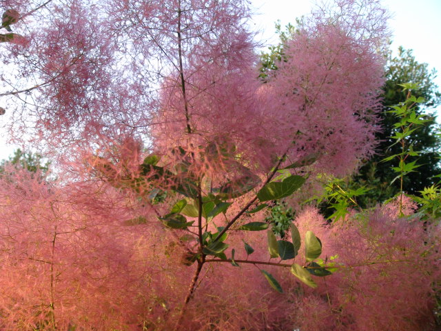 f0231709_601613.jpg