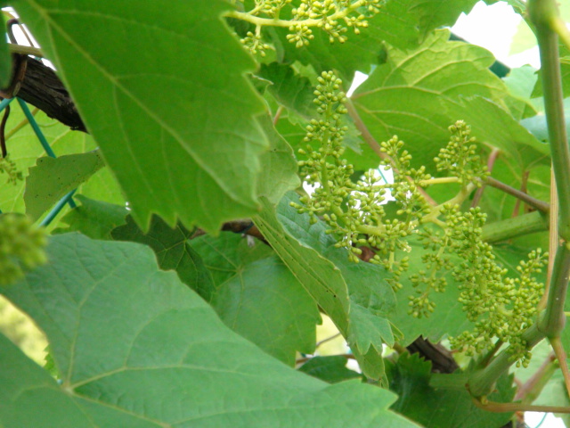 f0231709_703054.jpg