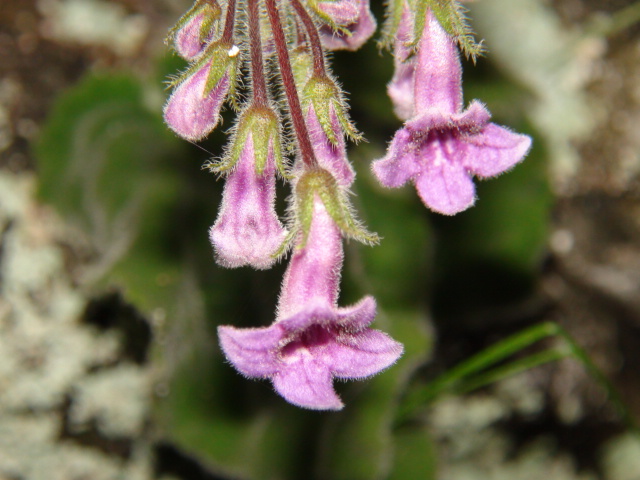 f0231709_8374874.jpg