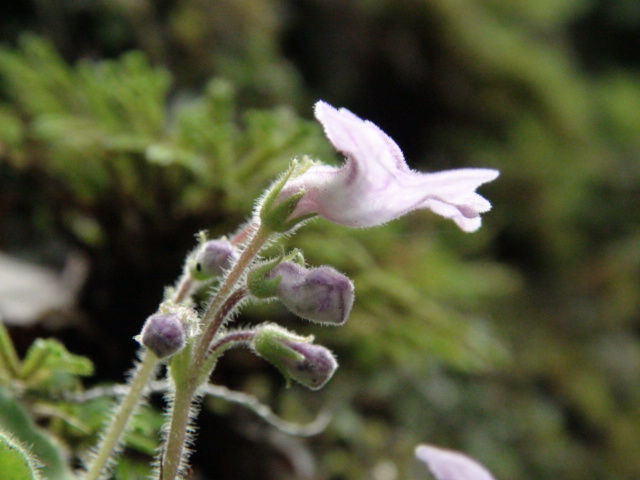 f0231709_8412558.jpg