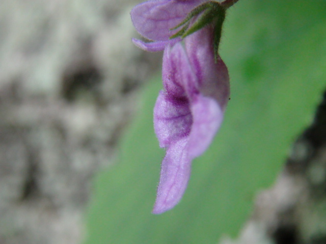 f0231709_842585.jpg