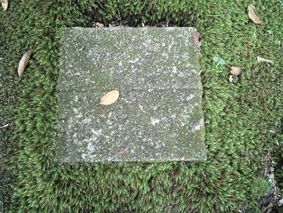 c0146714_23225654.jpg