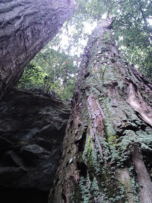c0146714_23232840.jpg