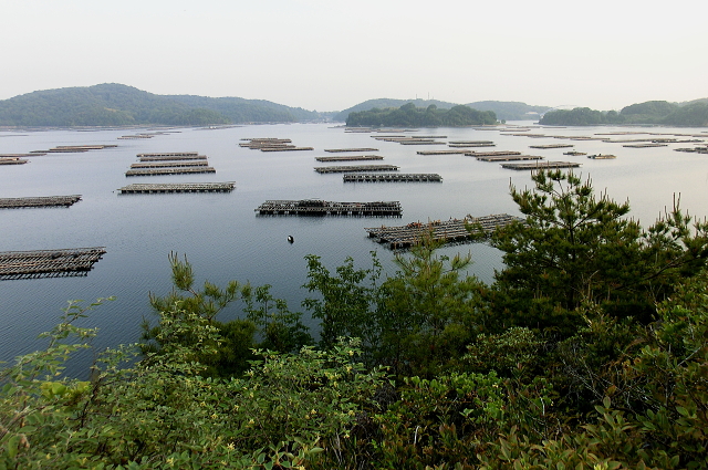 f0248120_20494273.jpg