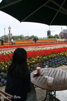 c0071221_2119223.jpg