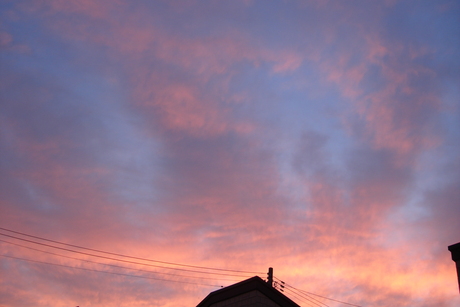 d0250123_21525049.jpg