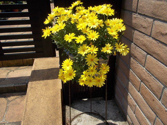 f0111128_10475933.jpg