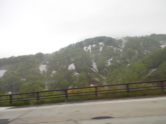 f0111128_14505486.jpg
