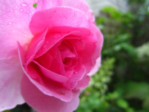 f0002833_18584090.jpg