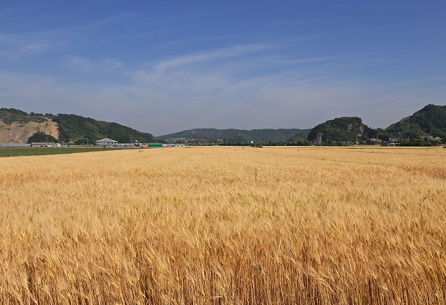 a0242438_19541915.jpg