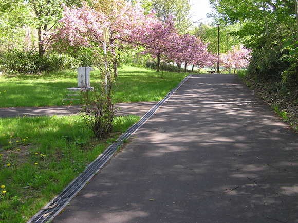 c0254440_19153220.jpg
