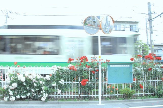 b0271141_14422665.jpg