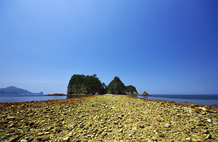 b0130243_19471881.jpg