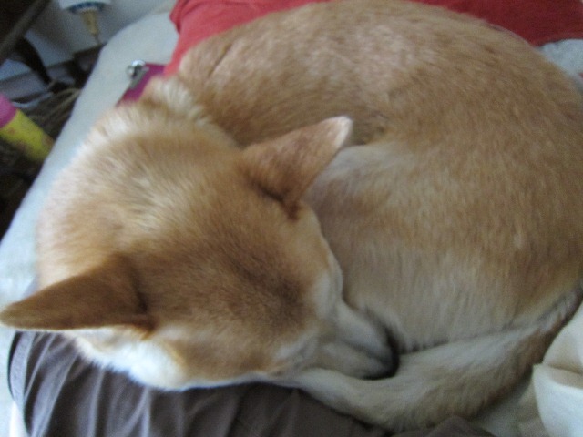 b0072650_1217166.jpg