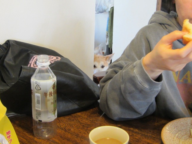 b0072650_12201168.jpg