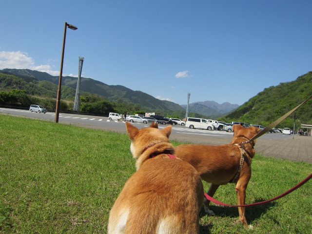 b0072650_1226329.jpg