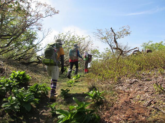 b0148050_2124637.jpg