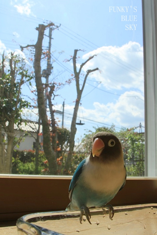 c0145250_2040241.jpg