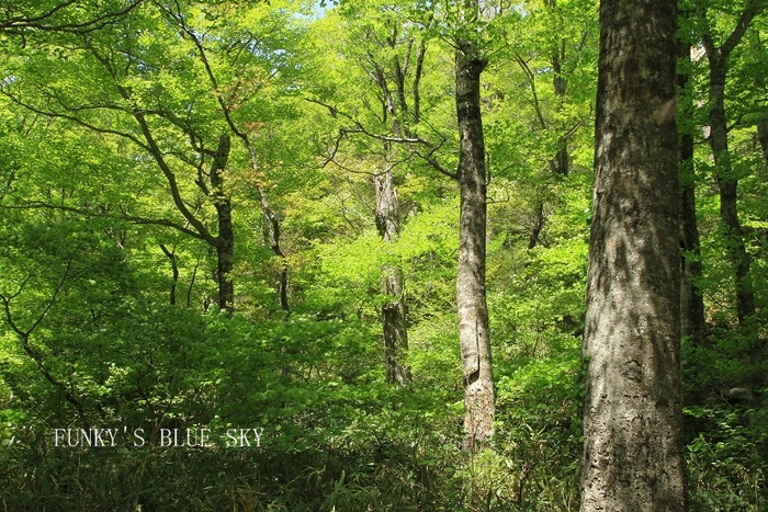 c0145250_2191150.jpg