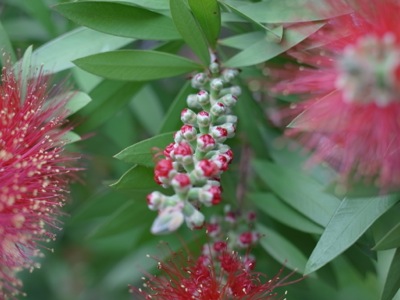 f0050651_2295648.jpg