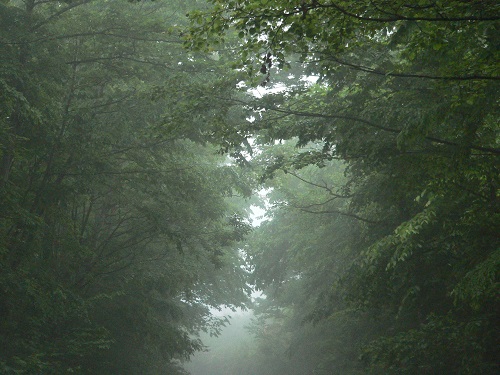 c0294658_7132854.jpg