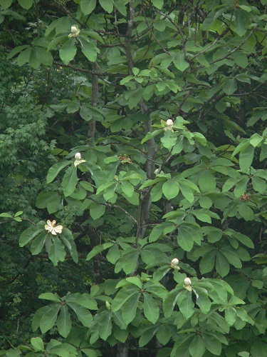 c0294658_7141451.jpg