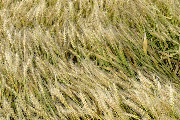 e0321360_2254449.jpg