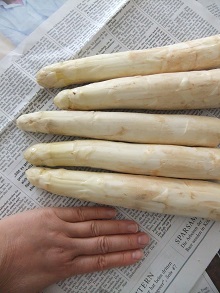 f0097363_0401547.jpg