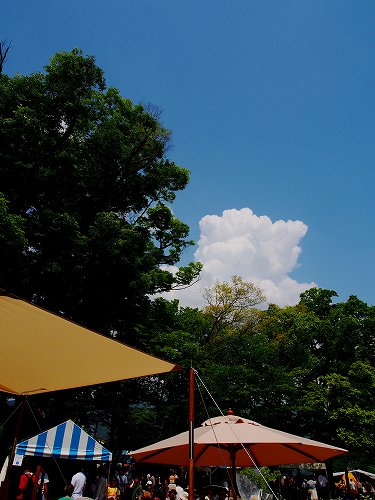 f0211463_12303456.jpg