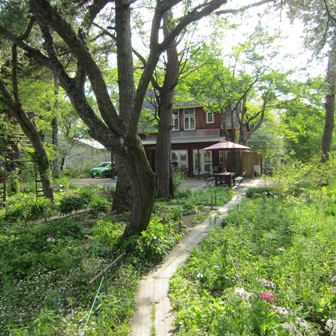 b0091164_2035250.jpg
