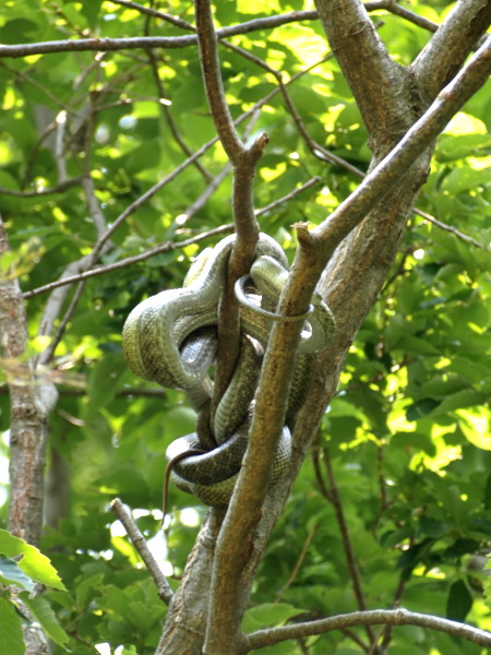 c0122670_22513055.jpg