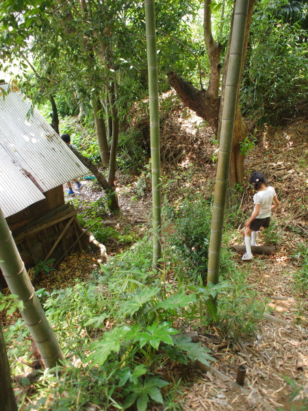 c0122670_22523185.jpg