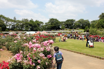 c0222474_2233167.jpg