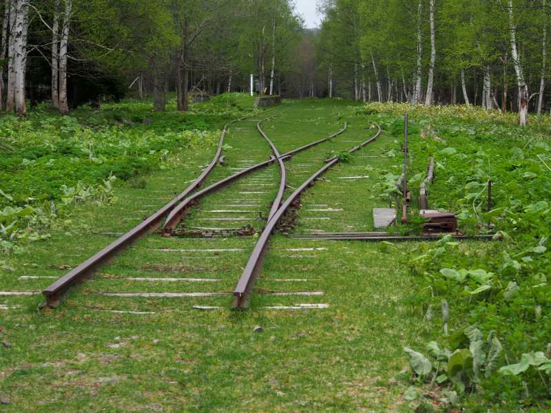 c0183777_7311824.jpg