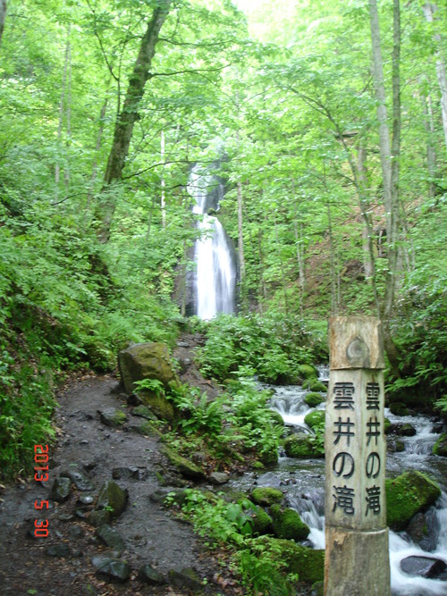 d0165378_11265930.jpg