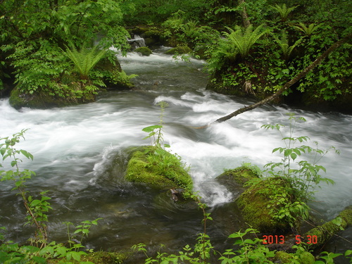 d0165378_112916.jpg