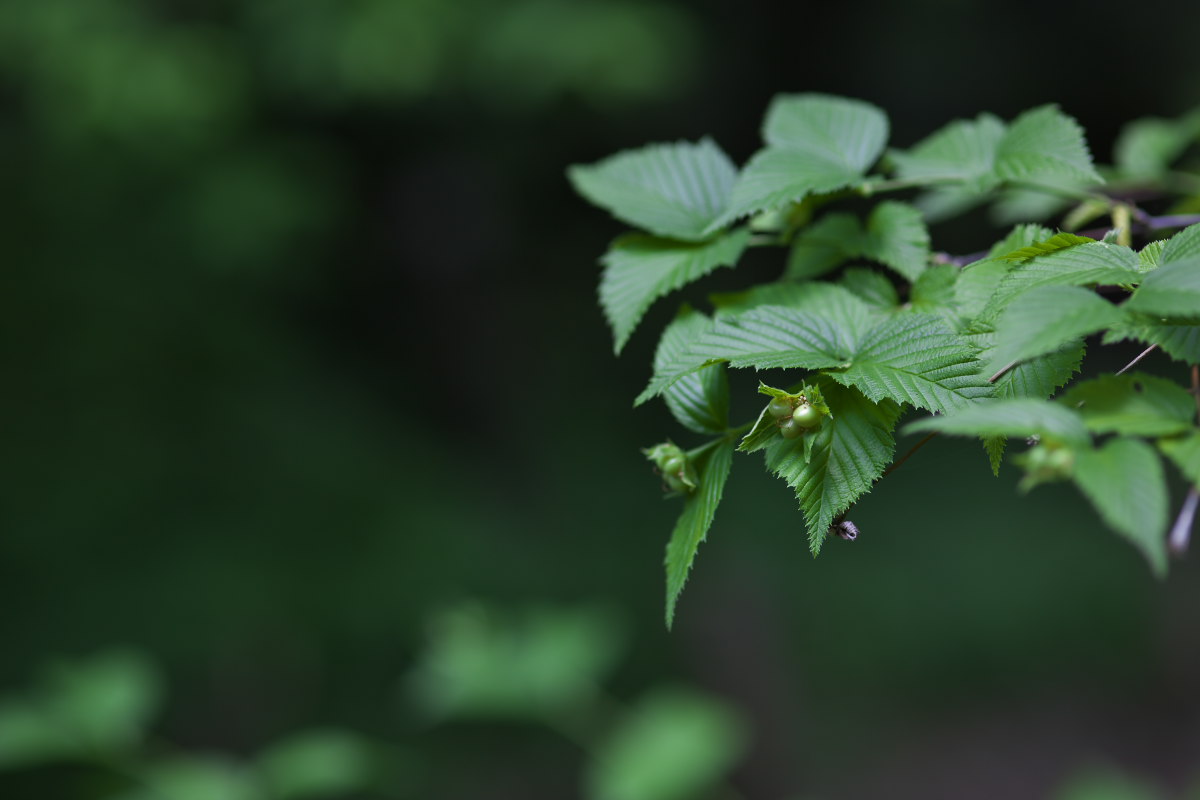 a0083081_1192970.jpg