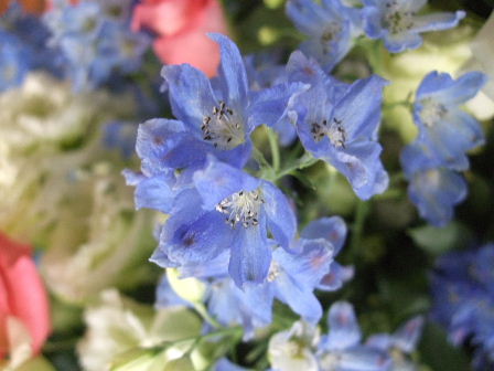 f0039281_16525139.jpg
