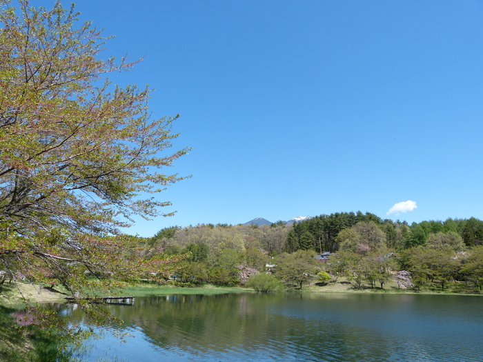 f0287487_19165636.jpg