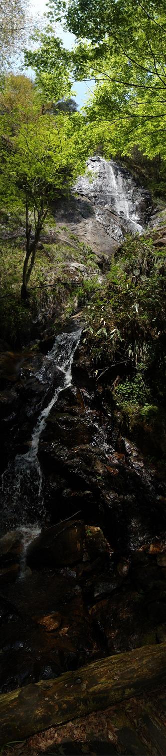c0118495_05199.jpg