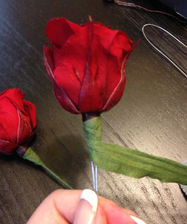 e0249198_20195079.jpg