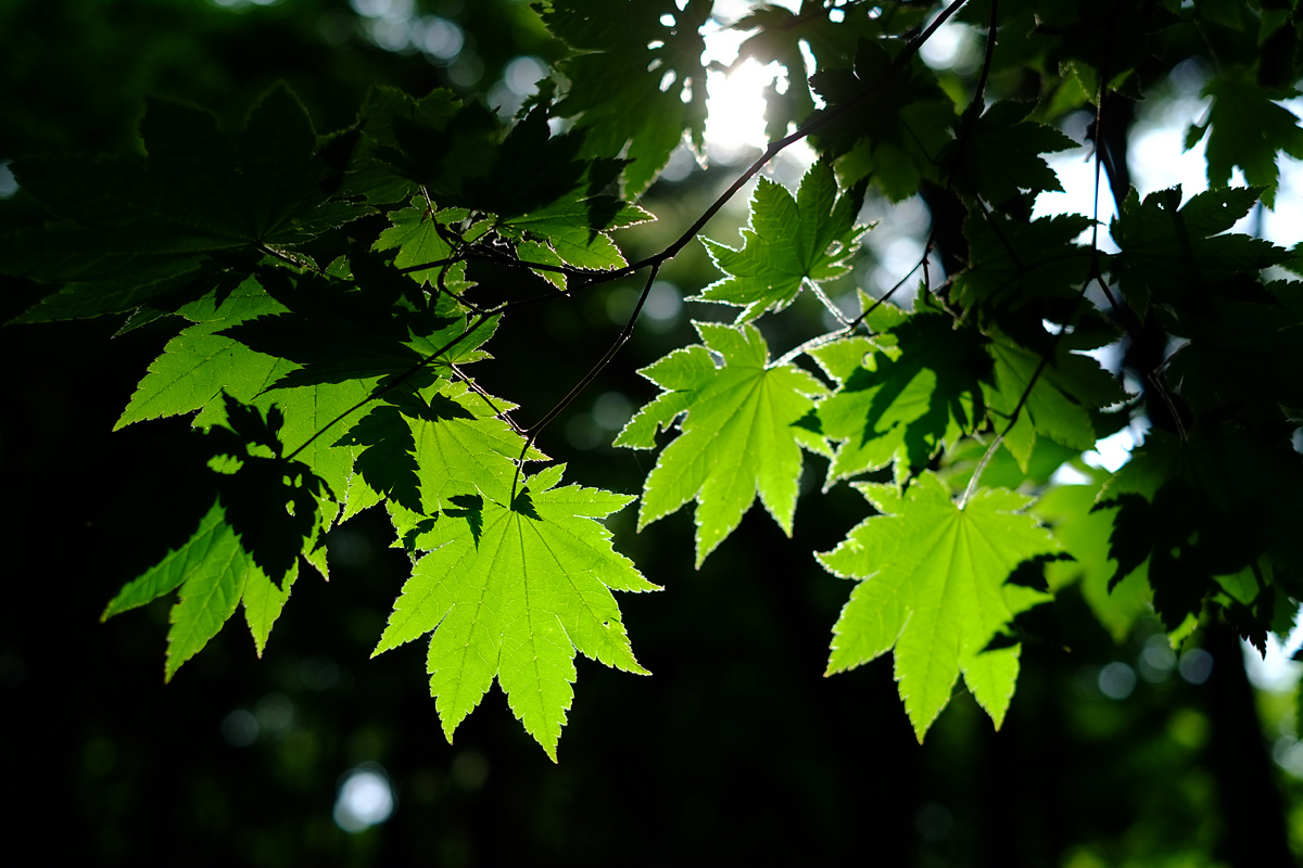 d0200900_0274557.jpg