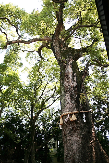 f0083400_21414924.jpg