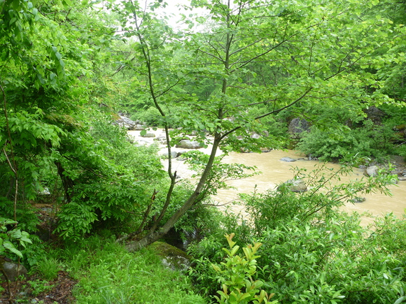 b0229003_15262375.jpg