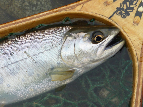 b0229003_1535015.jpg