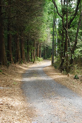 e0128909_5342066.jpg