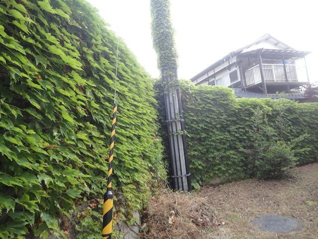 f0231709_737387.jpg